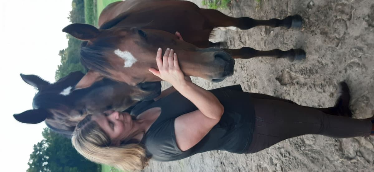 Angelika Janßen behandelt ein Pferd osteopathisch im Stall