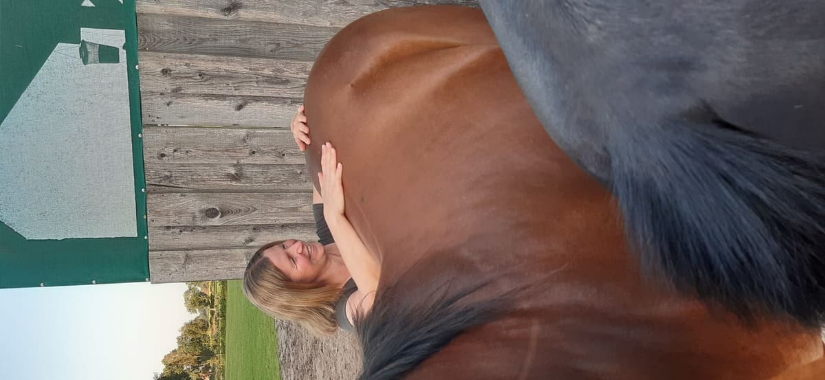 Osteopathische Pferdebehandlung in Ostfriesland bei Angelika Janßen